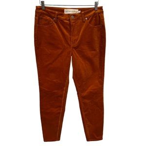 Soft Surroundings Corduroy High-Rise Pants orange brown super stretch Size 10P